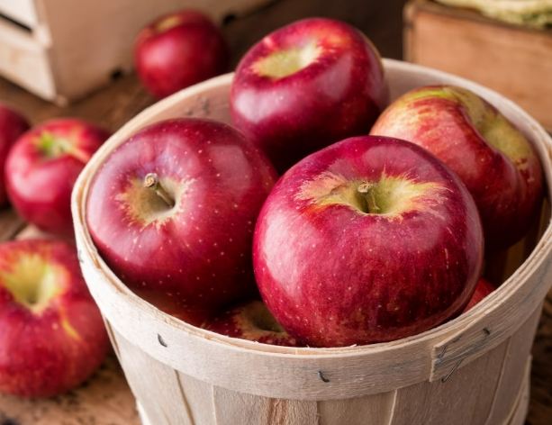 蘋果負面影響 蘋果負面影響