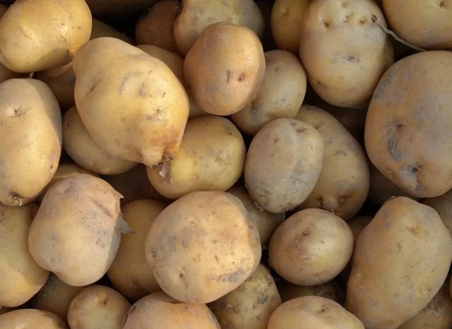 馬鈴薯功效 馬鈴薯功效