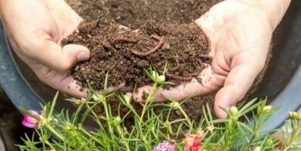 有機堆肥製作 有機堆肥製作