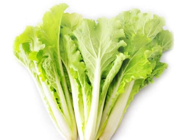 小白菜切法 小白菜切法