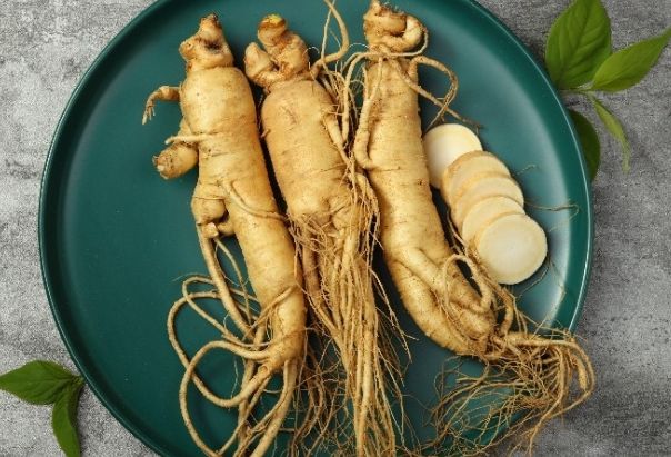 高麗參不良反應 高麗參不良反應