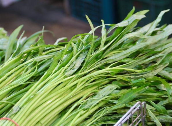 空心菜會脹氣嗎