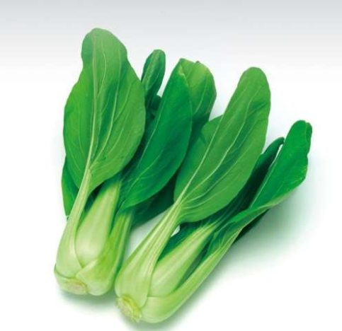 青江菜冷凍保存