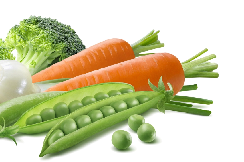 現在可以種什麼菜？台灣四季蔬菜種植指南與推薦