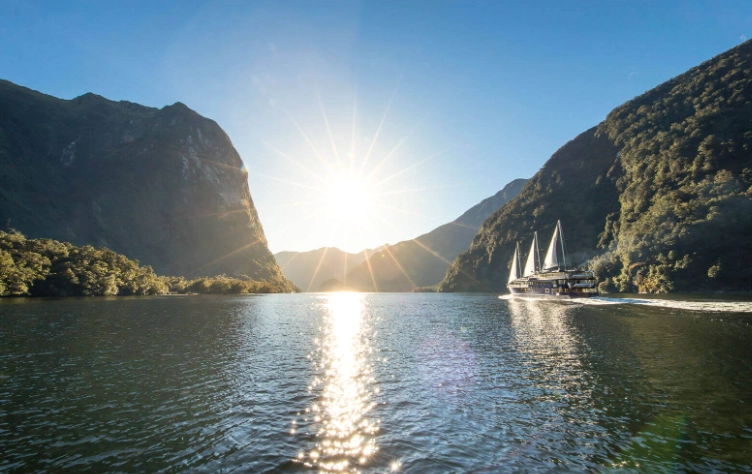 紐西蘭左駕還是右駕？完整指南與實用技巧