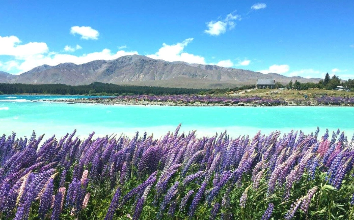 紐西蘭行前準備