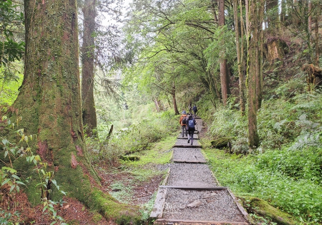 塔山步道攻略 塔山步道攻略