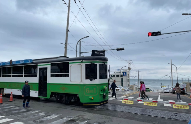 青沙浦海岸列車路線 青沙浦海岸列車路線