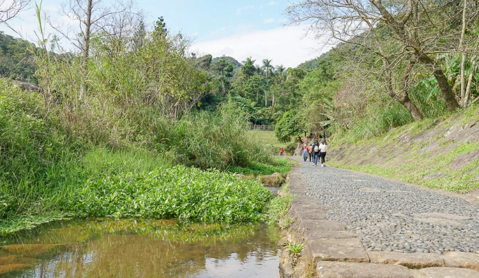 內湖親水步道 內湖親水步道
