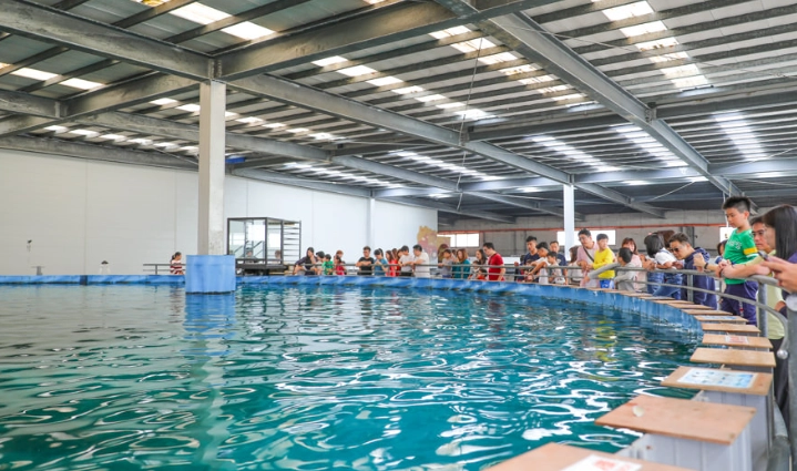 室內活動推薦 室內活動推薦