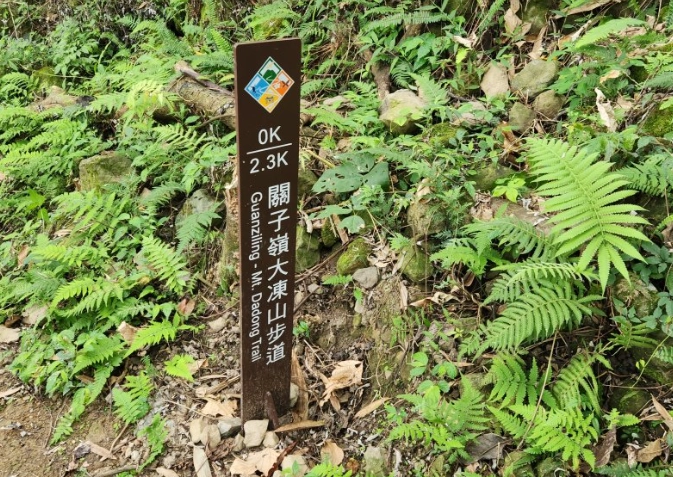 大凍山爬升路線 大凍山爬升路線