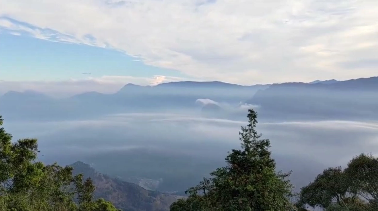 嘉義大凍山 嘉義大凍山