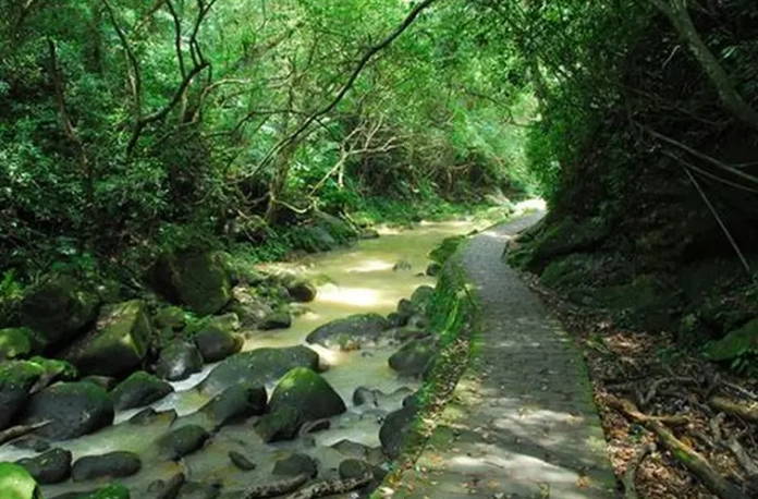 內湖親水步道 內湖親水步道