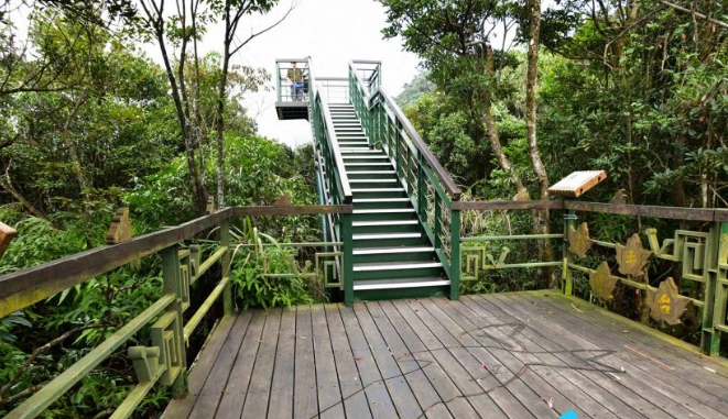 小溪頭步道 小溪頭步道