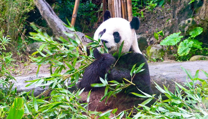 台北中山區攝影