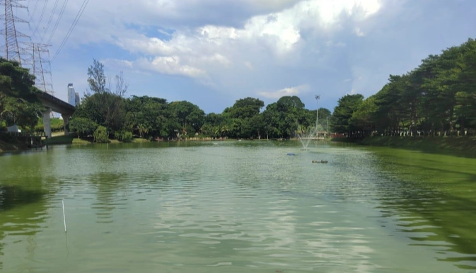 碧湖公園釣魚技巧