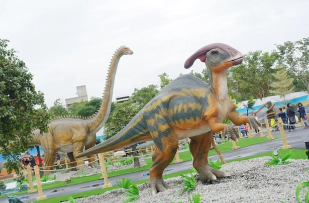 台中親子展覽 台中親子展覽