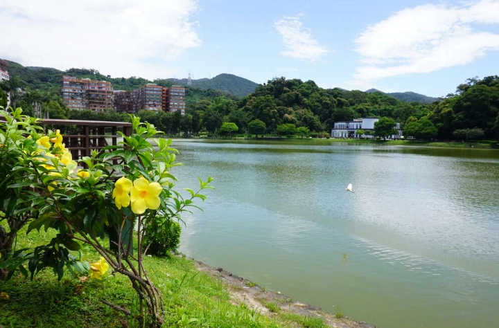 碧湖公園環湖步道長度 碧湖公園環湖步道長度