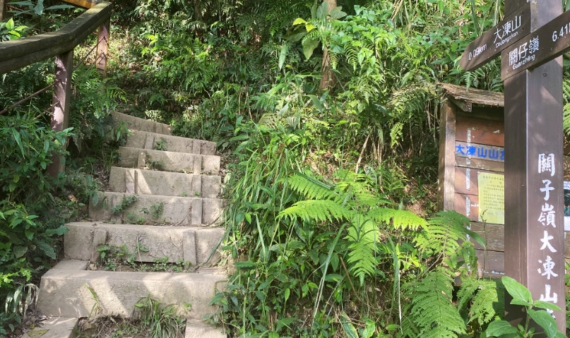 台南大凍山登山 台南大凍山登山