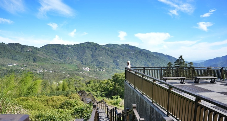 嘉義大凍山 嘉義大凍山