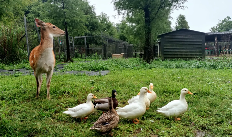 台北夜間親子活動 台北夜間親子活動