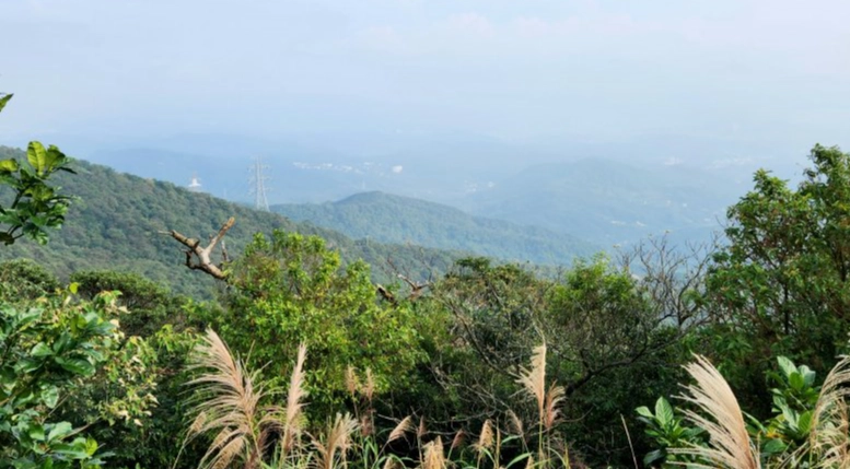 翠山步道天气预报 翠山步道天气预报