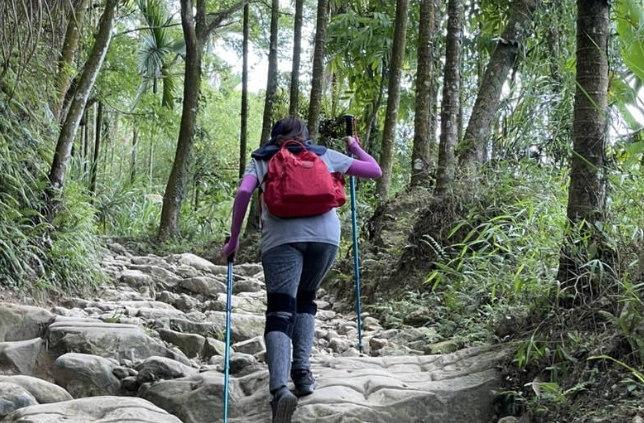 大凍山登山步道 大凍山登山步道