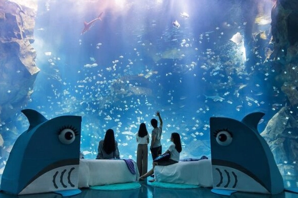 桃園室內約會地點 桃園室內約會地點