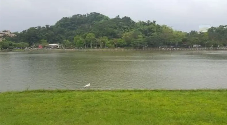 碧湖公園釣魚規則