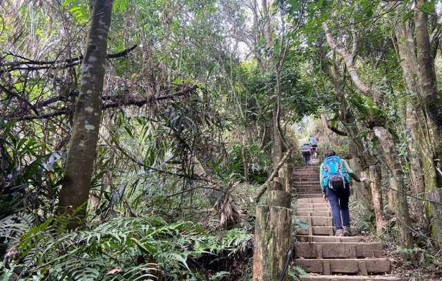 台南大凍山難度 台南大凍山難度