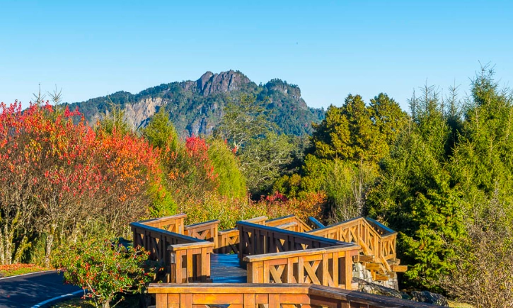 大塔山觀景台交通