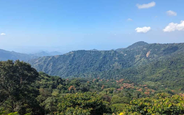 翠山步道登山天气 翠山步道登山天气
