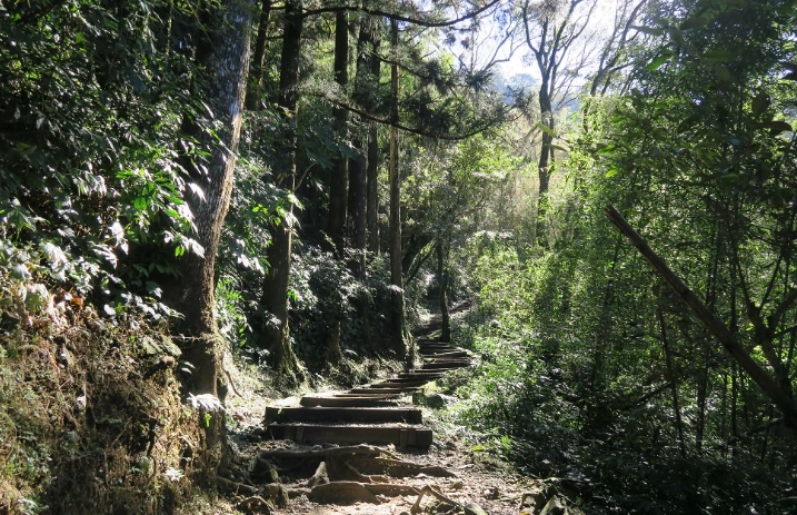 大凍山行程規劃 大凍山行程規劃