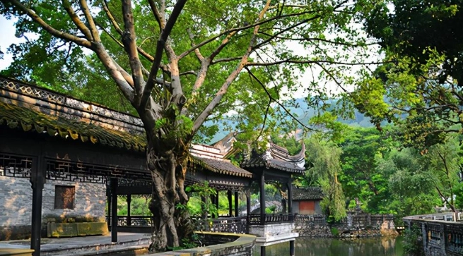 中山站美食 中山站美食