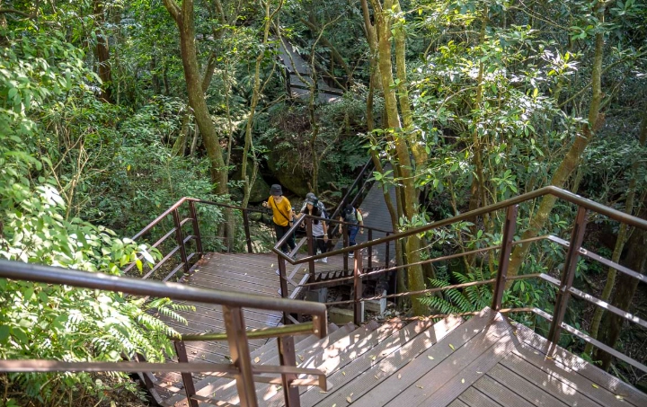 小溪頭步道 小溪頭步道