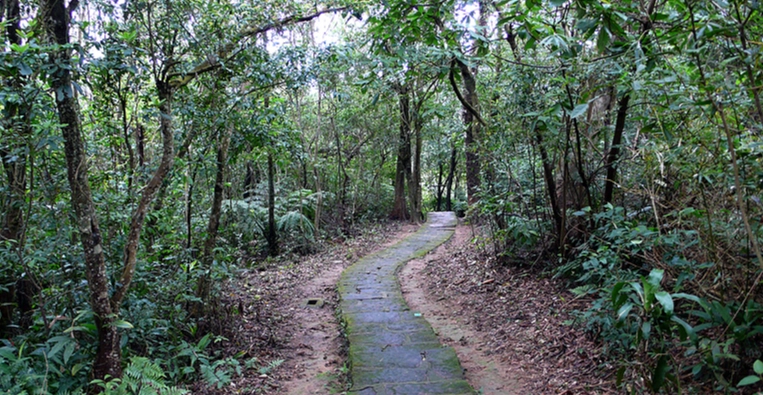 中社路步道難度