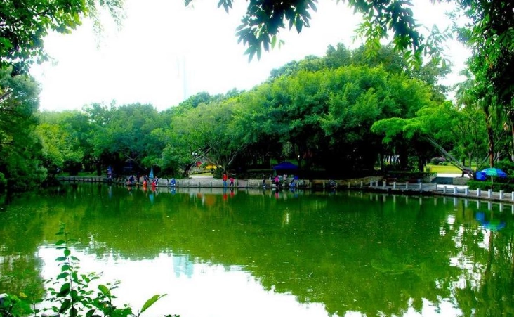 碧湖公園釣魚技巧