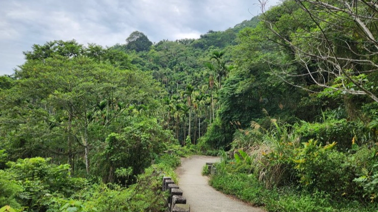 台南大凍山難度 台南大凍山難度