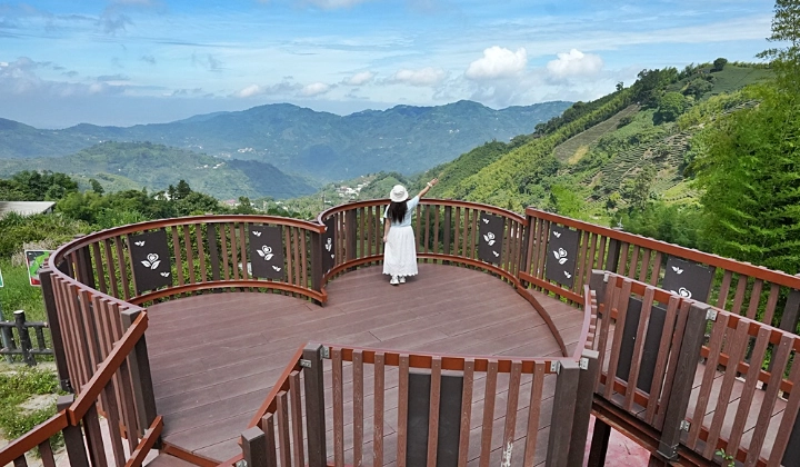 嘉義大凍山 嘉義大凍山