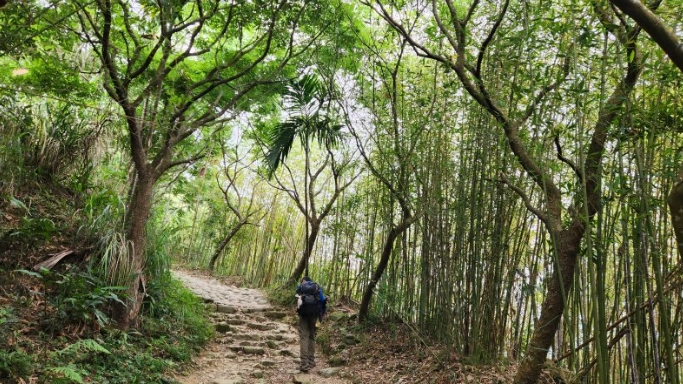 大凍山登山路線 大凍山登山路線