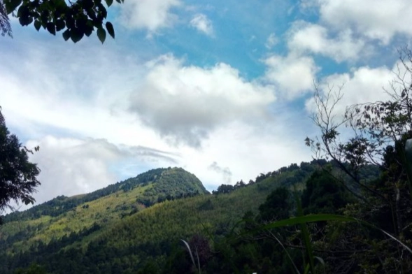 回頭嶺大凍山步道 回頭嶺大凍山步道