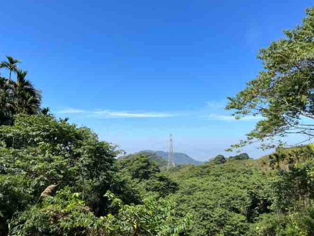 台南大凍山登山 台南大凍山登山