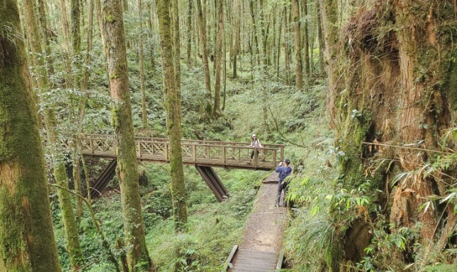 塔山步道攻略 塔山步道攻略
