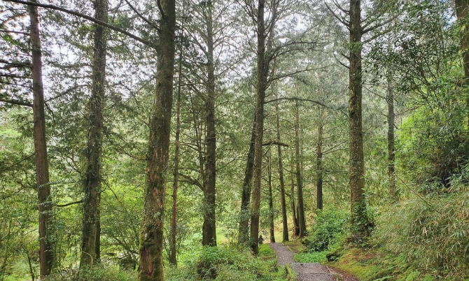 塔山步道登山天氣