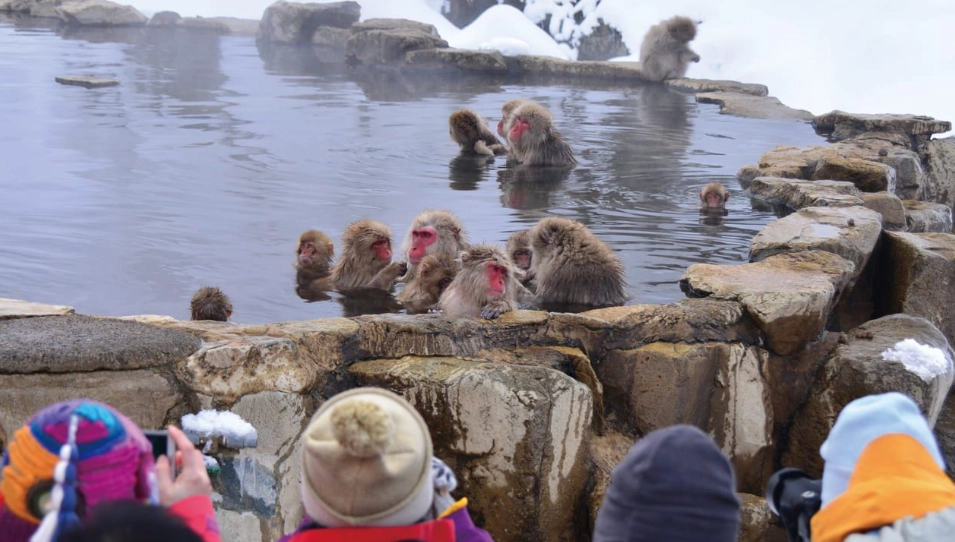 東京到長野交通