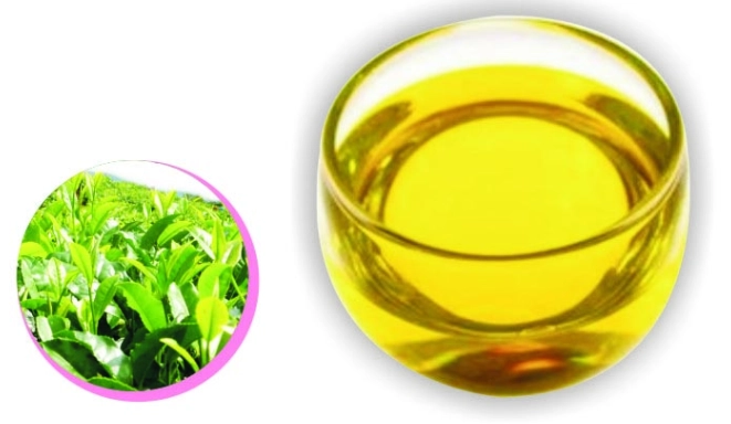 茶樹精油使用方法