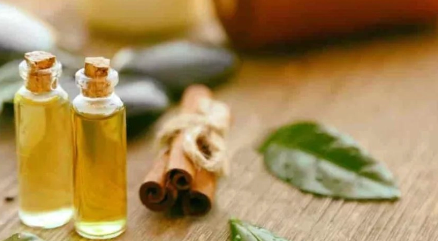 茶樹精油漱口好處