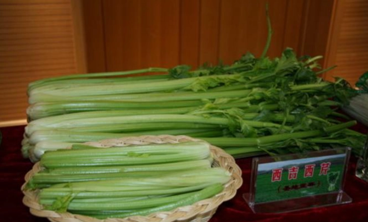 西洋芹吃太多副作用