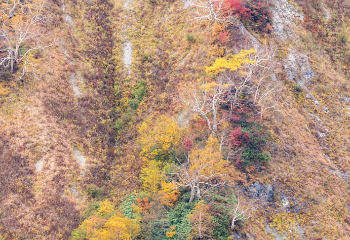 白馬岩岳秋季旅遊