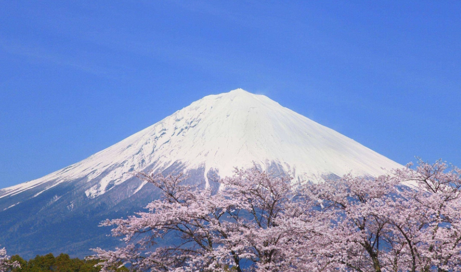 富士山 旅遊攻略